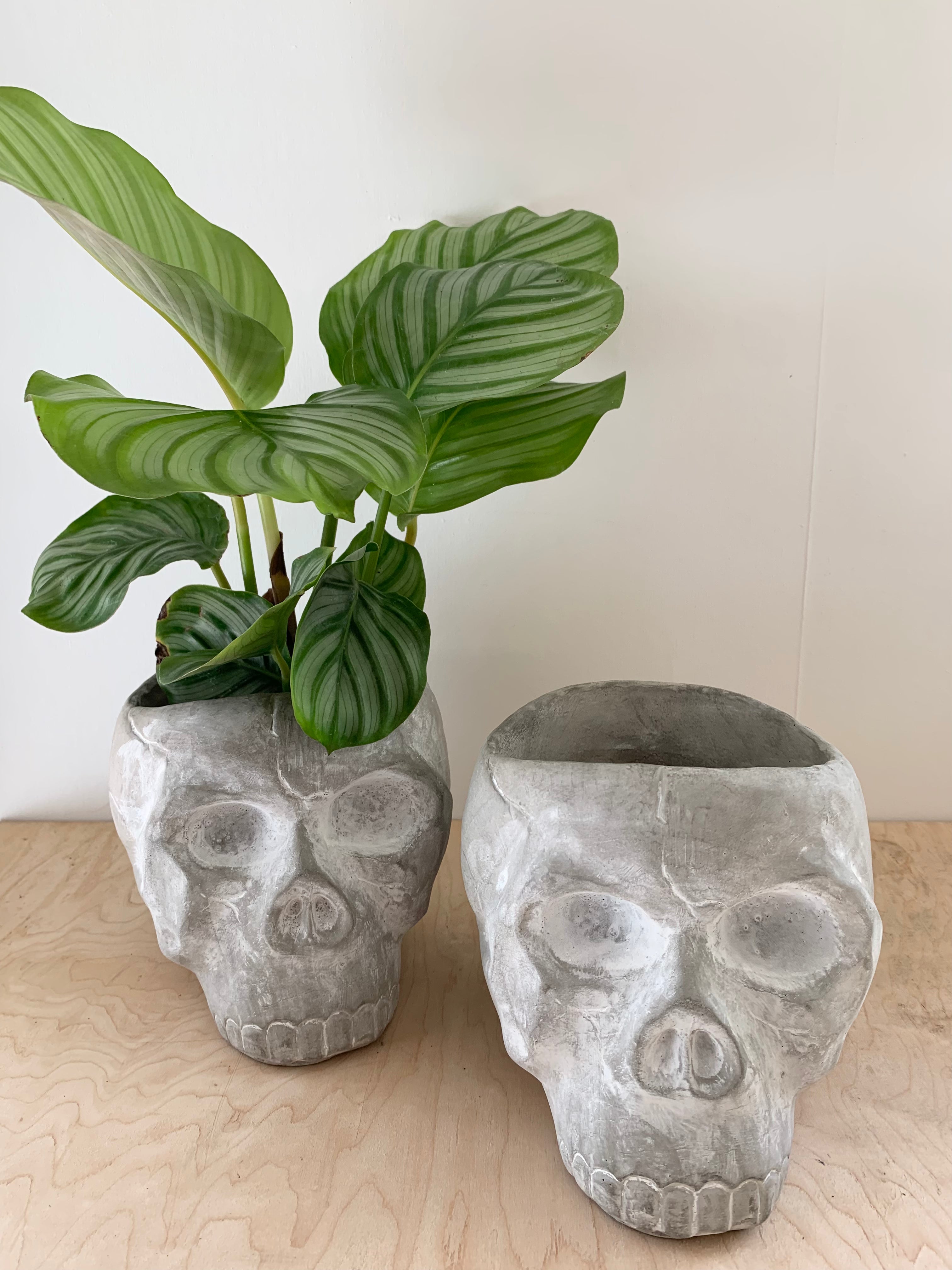 Reaper Skull Collection