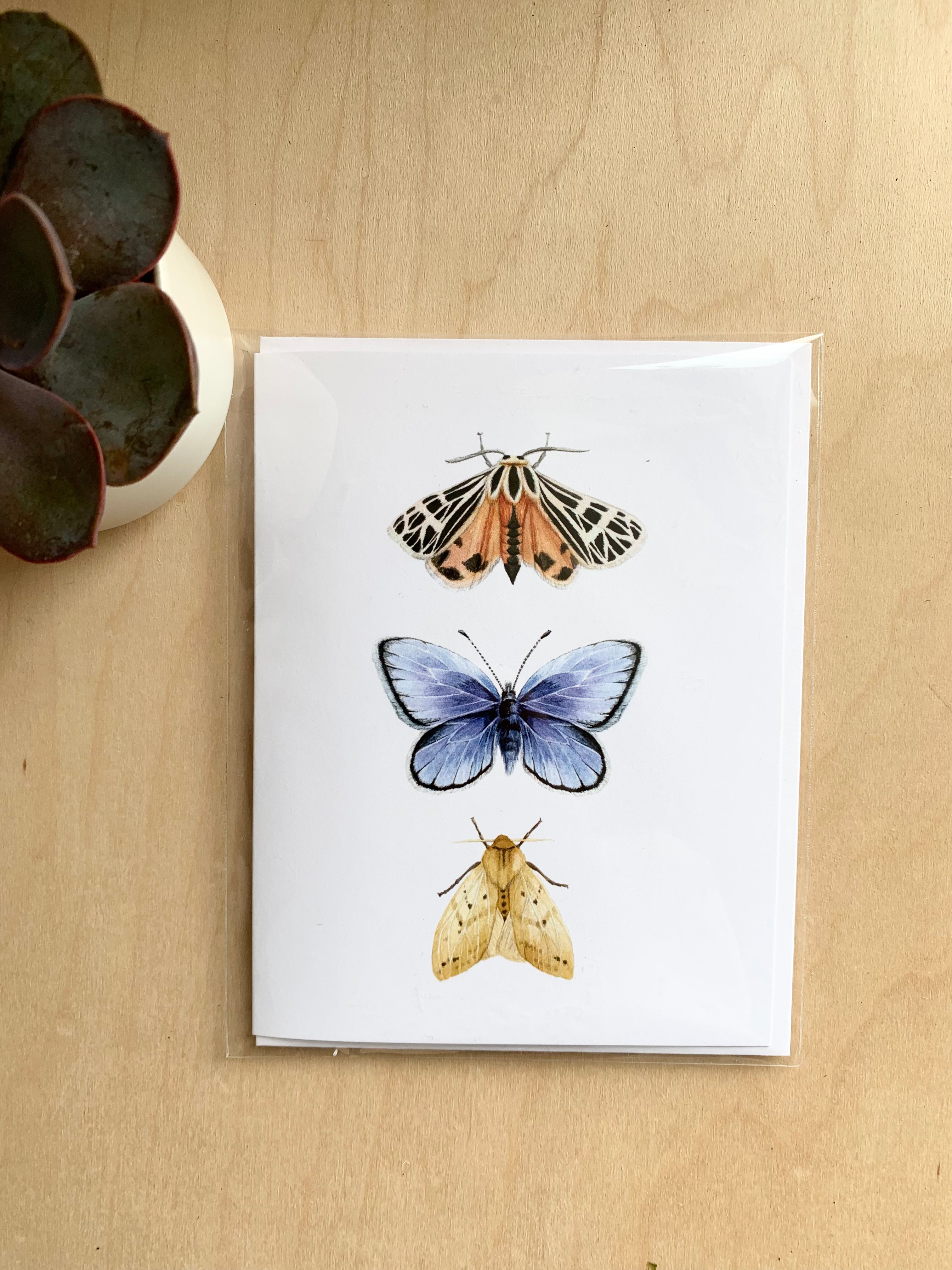 Butterfly Notecard