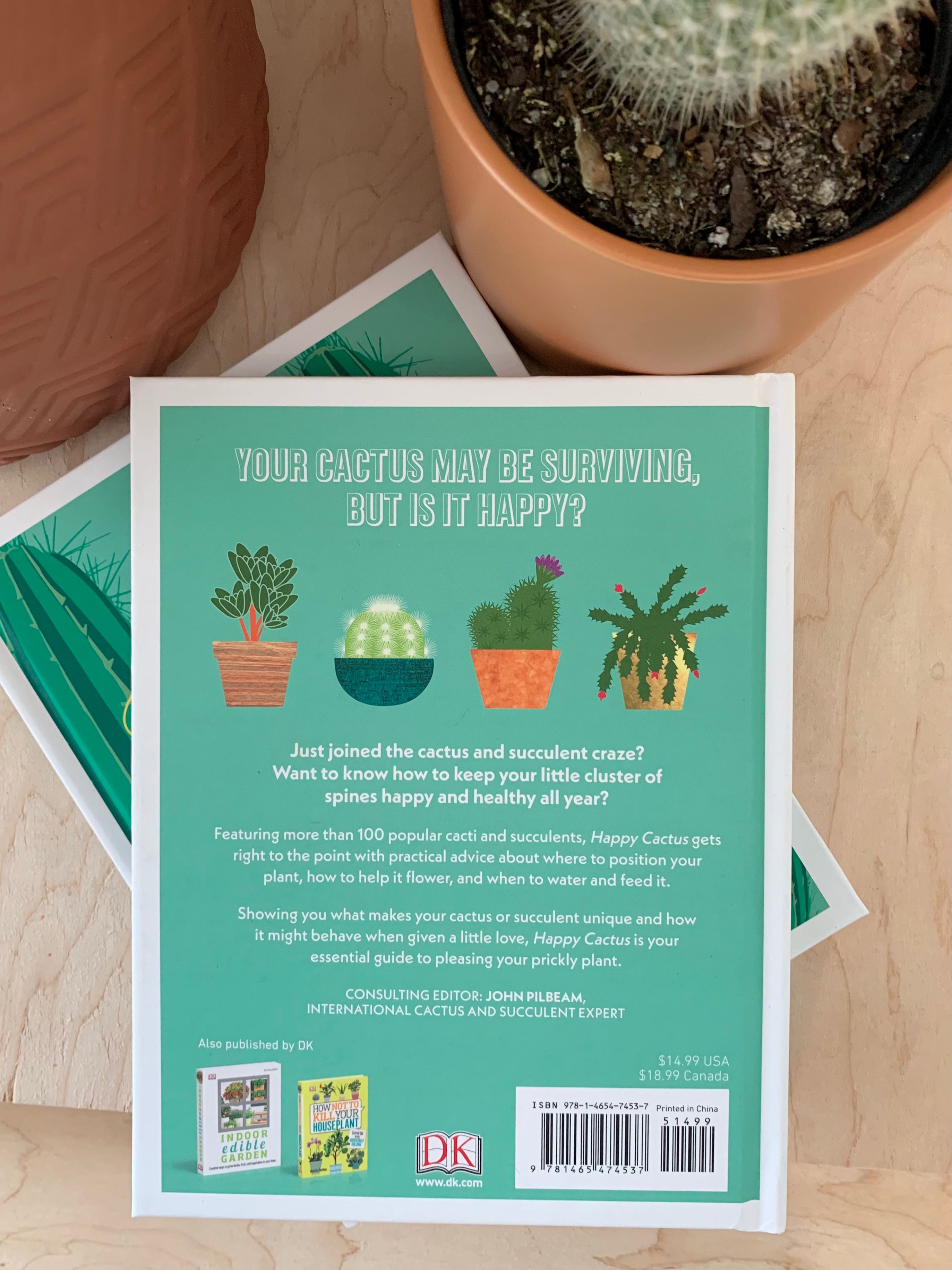 Happy Cactus : cactus, plantes succulentes et plus encore 
