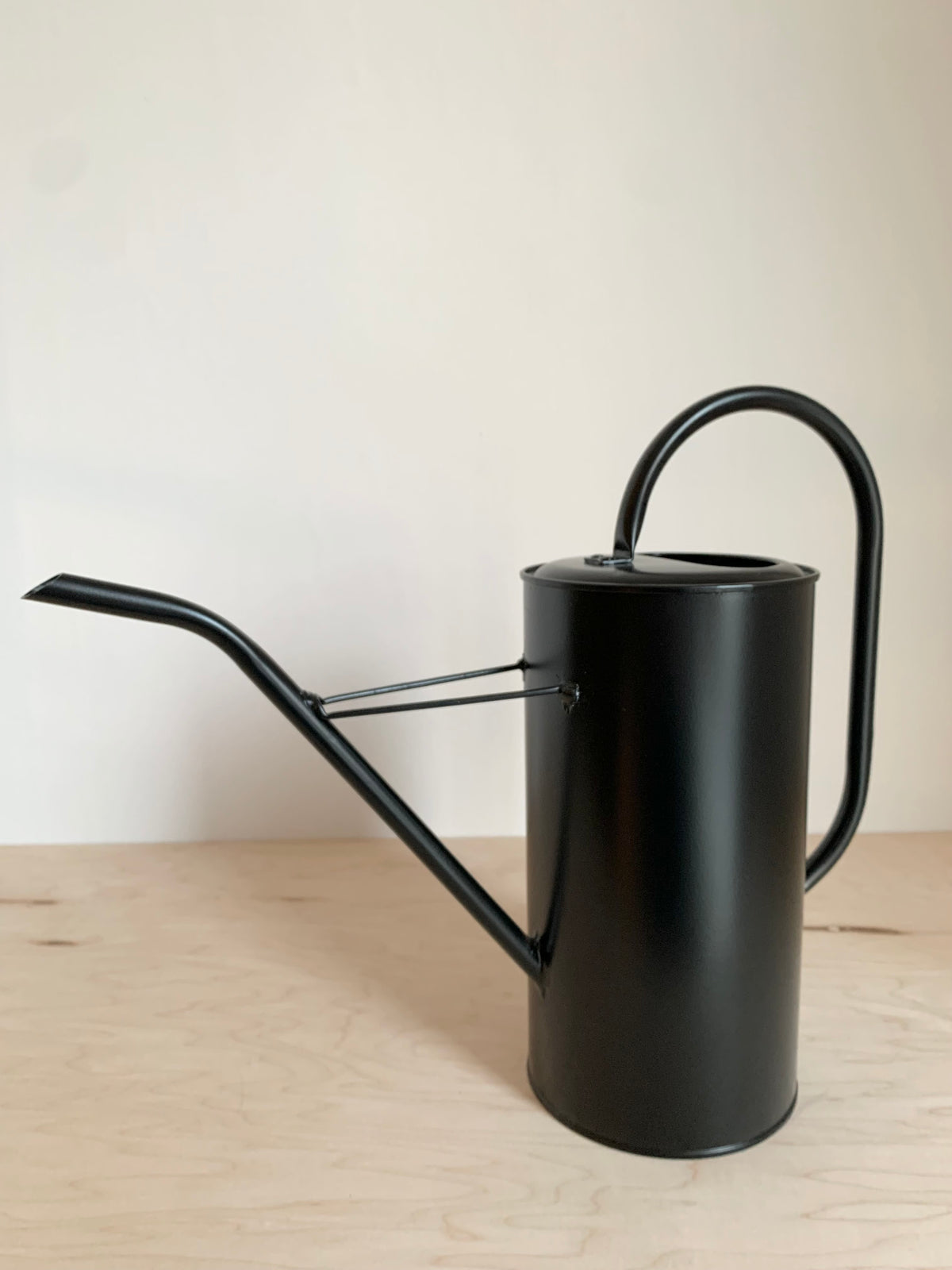 Fletch Watering Can