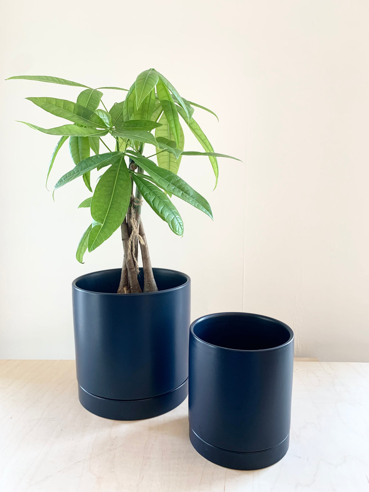 Romey Collection - Dark Blue
