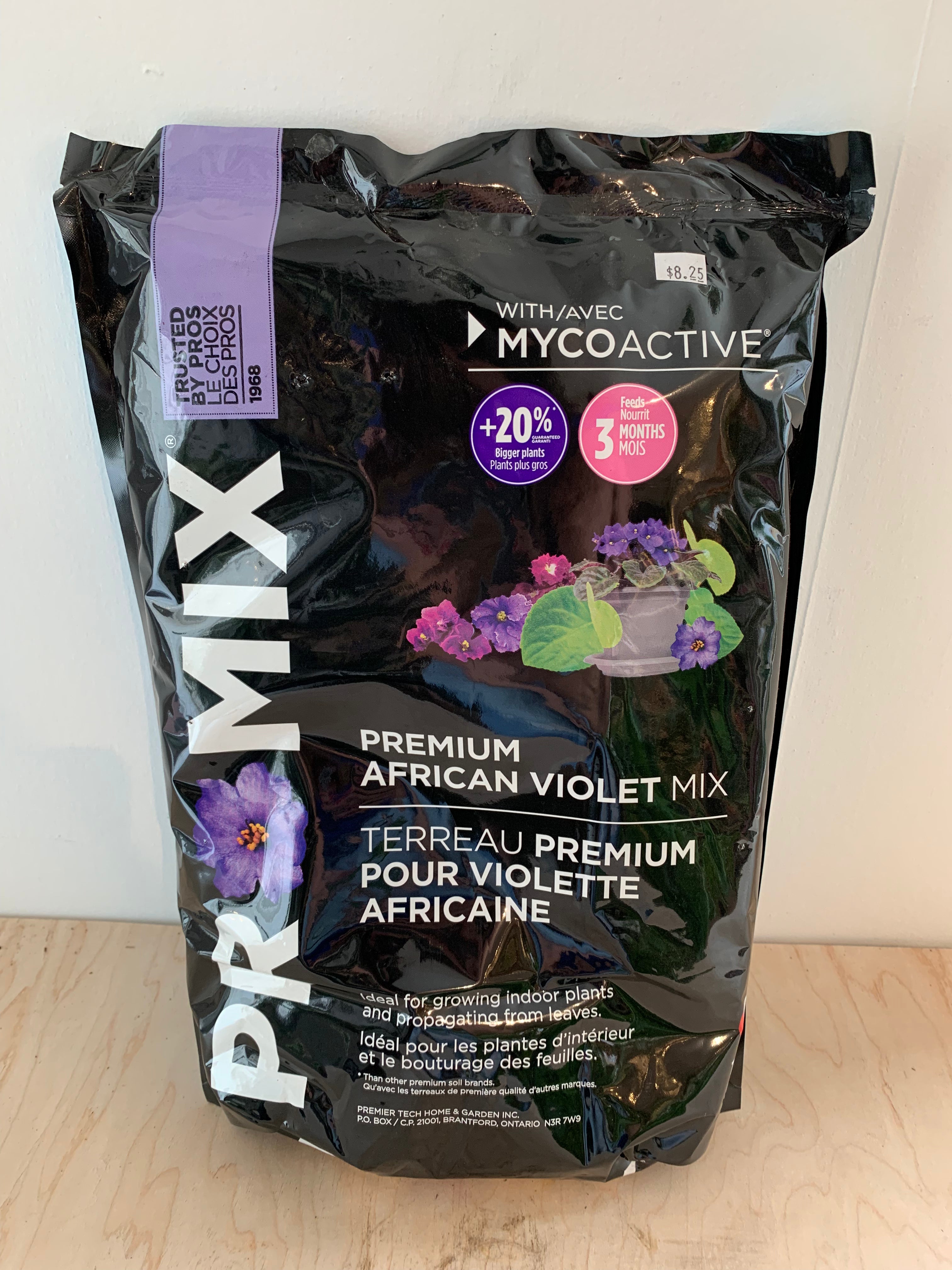 Mélange de violettes africaines Pro-Mix