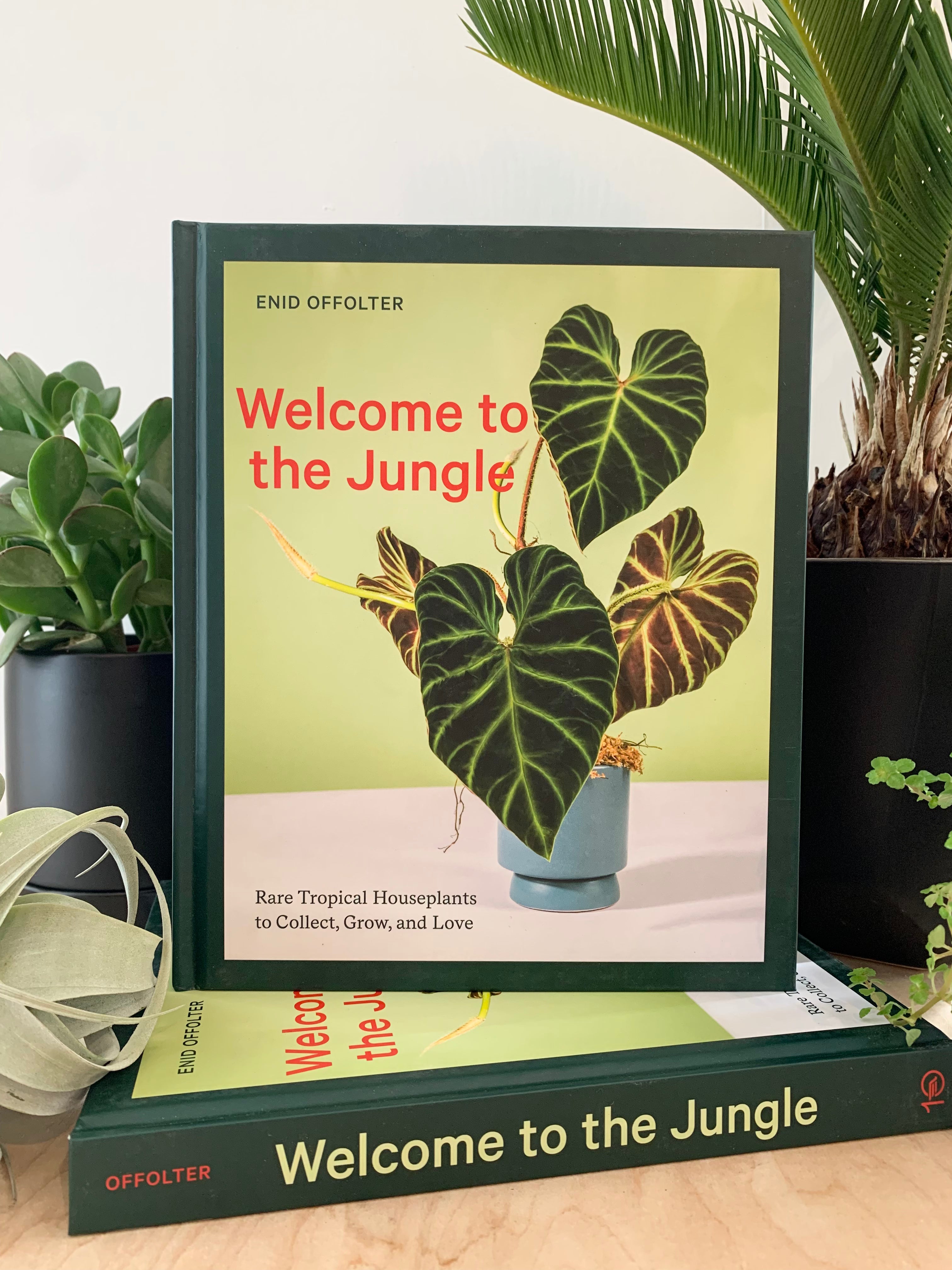 Welcome to the Jungle