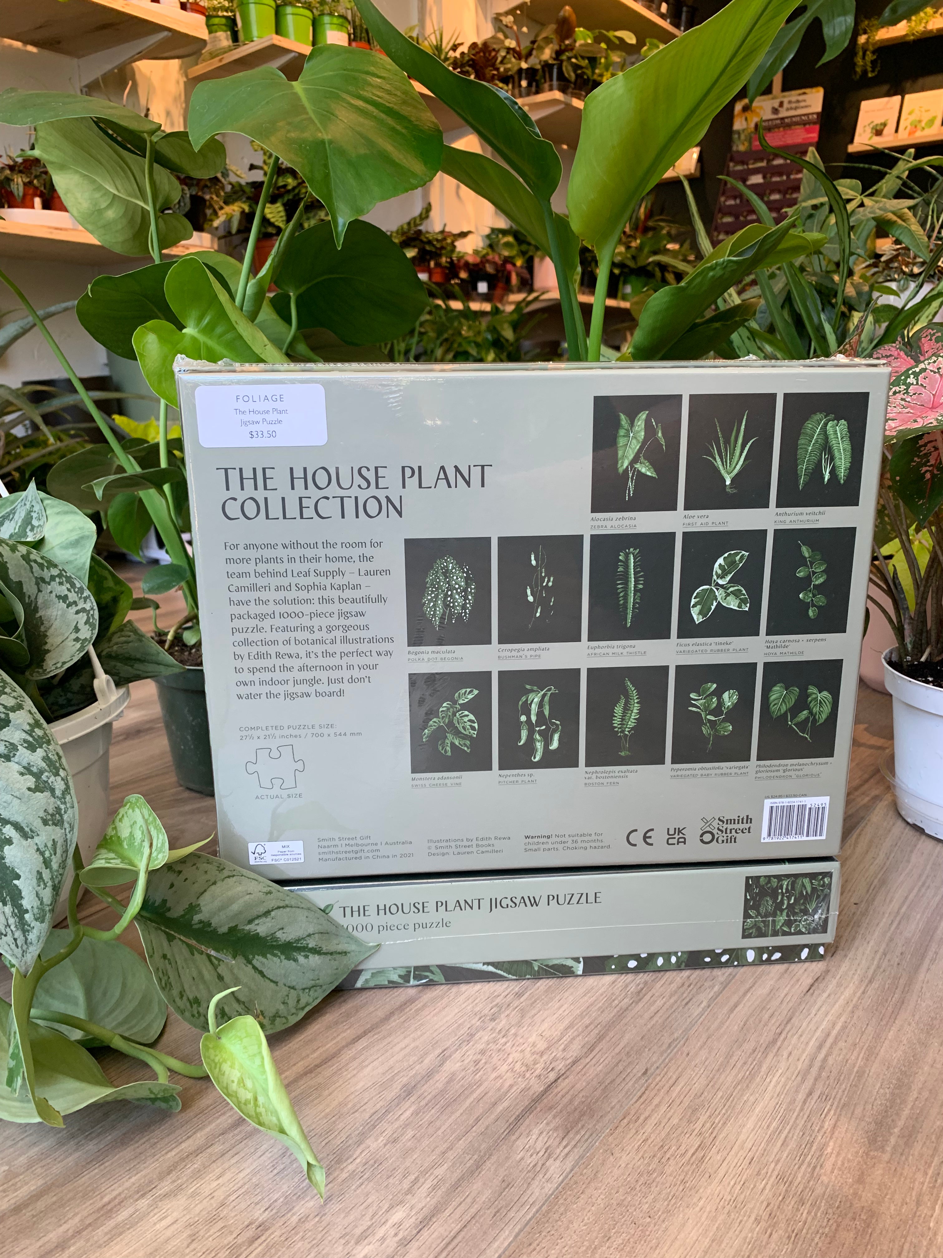 The House Plant Jigsaw Puzzle