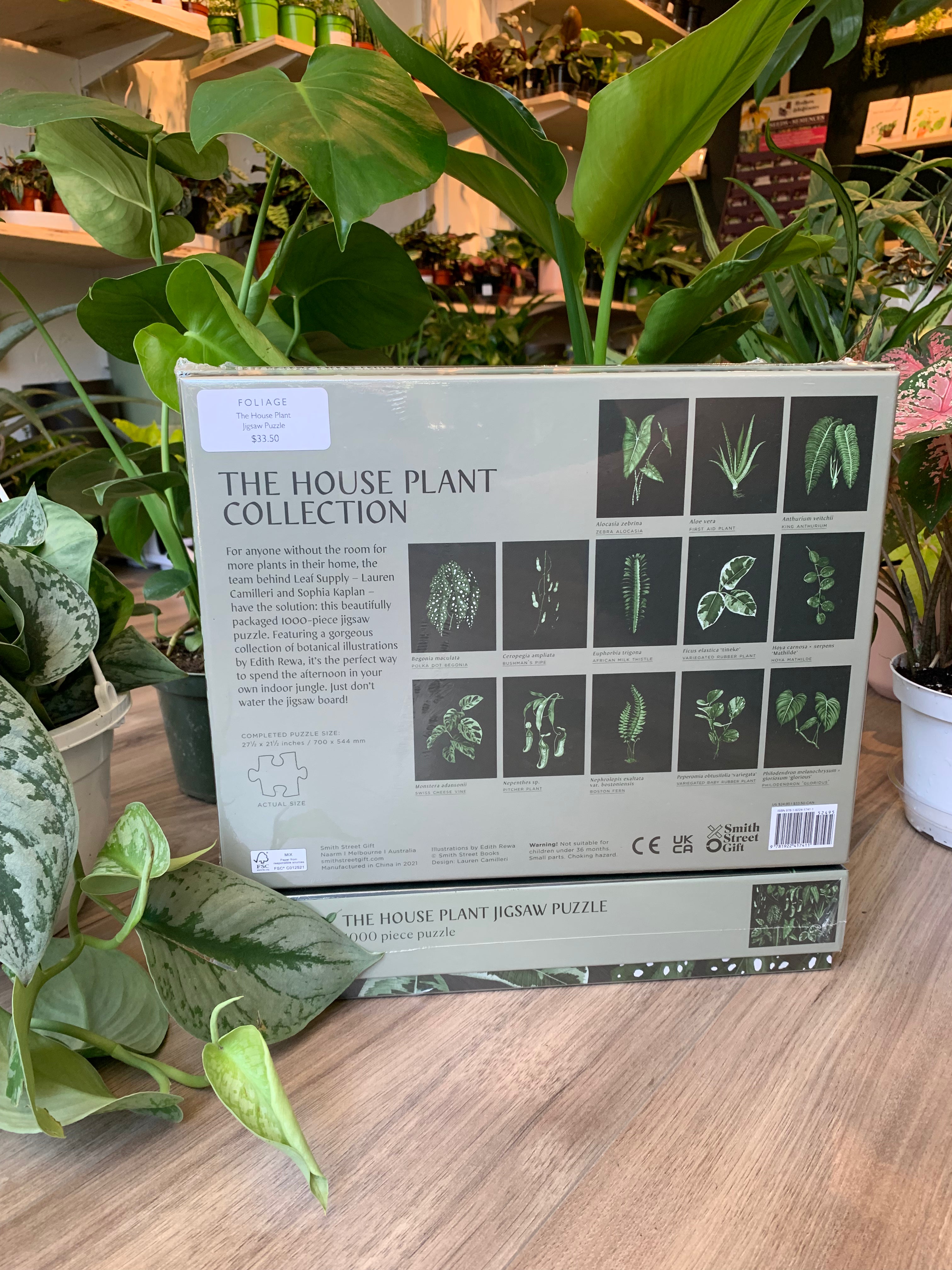 Puzzle de la plante d'intérieur 
