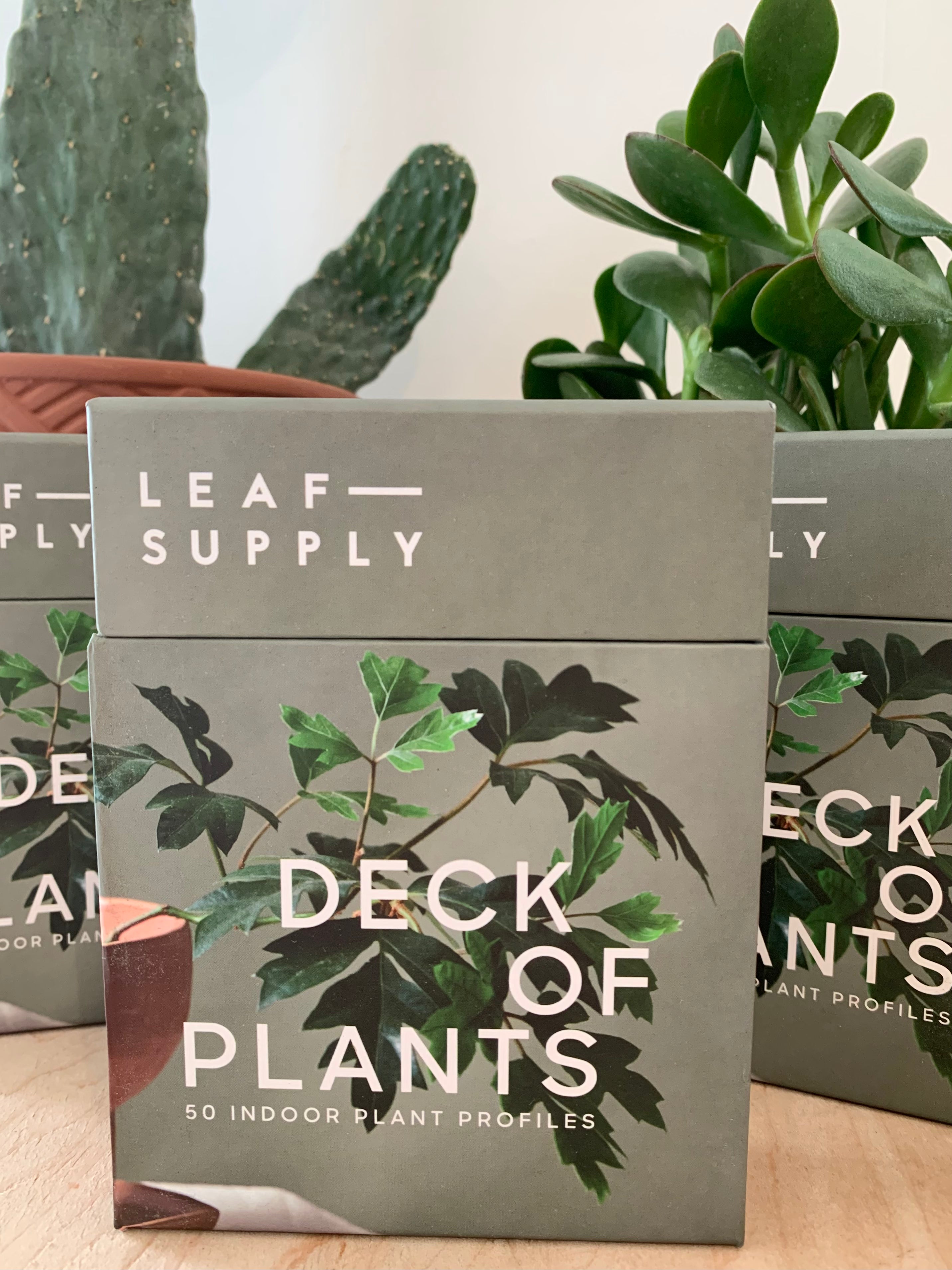 Plateforme d'approvisionnement en feuilles de plantes 