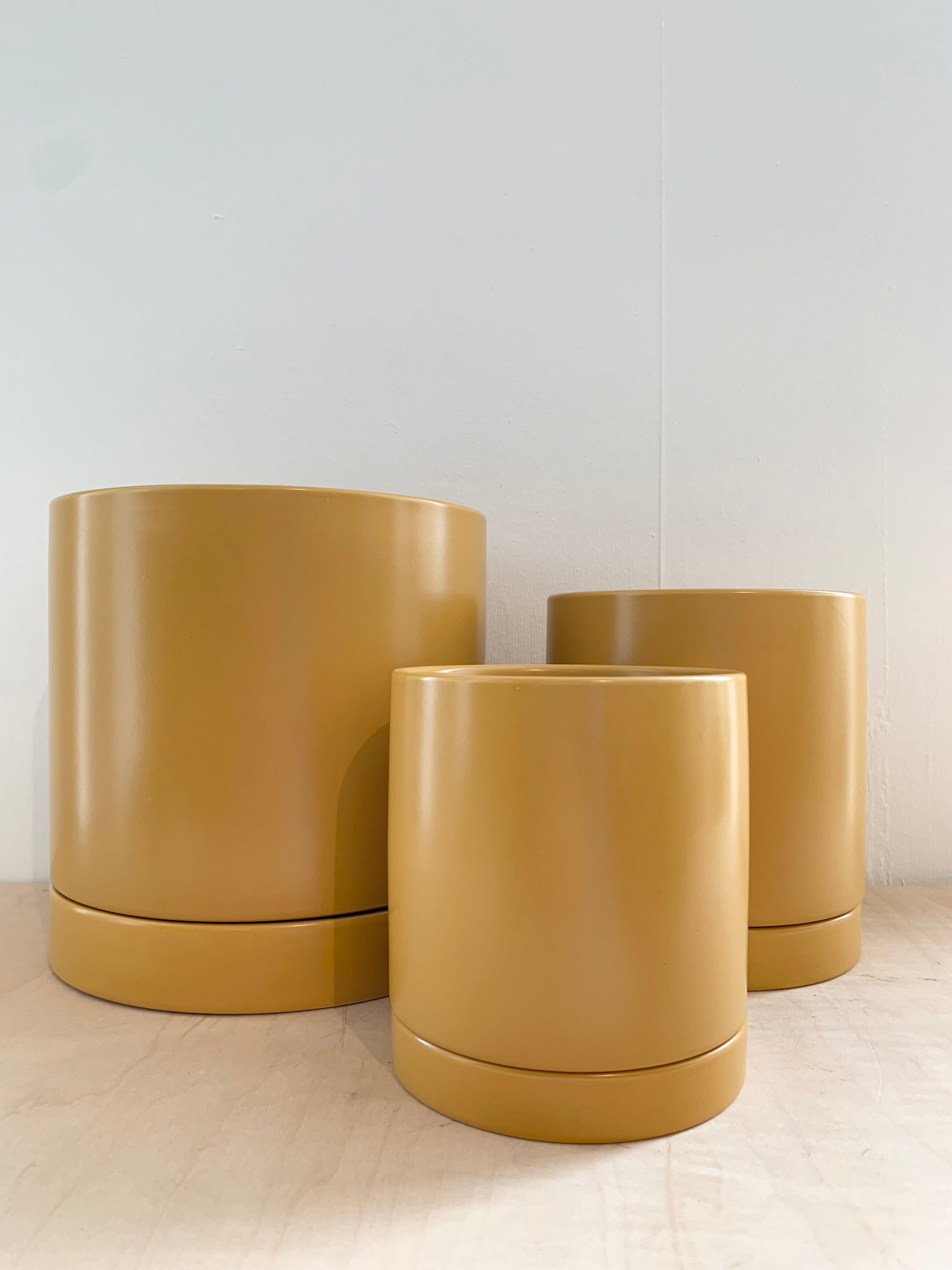 Romey Collection - Yellow