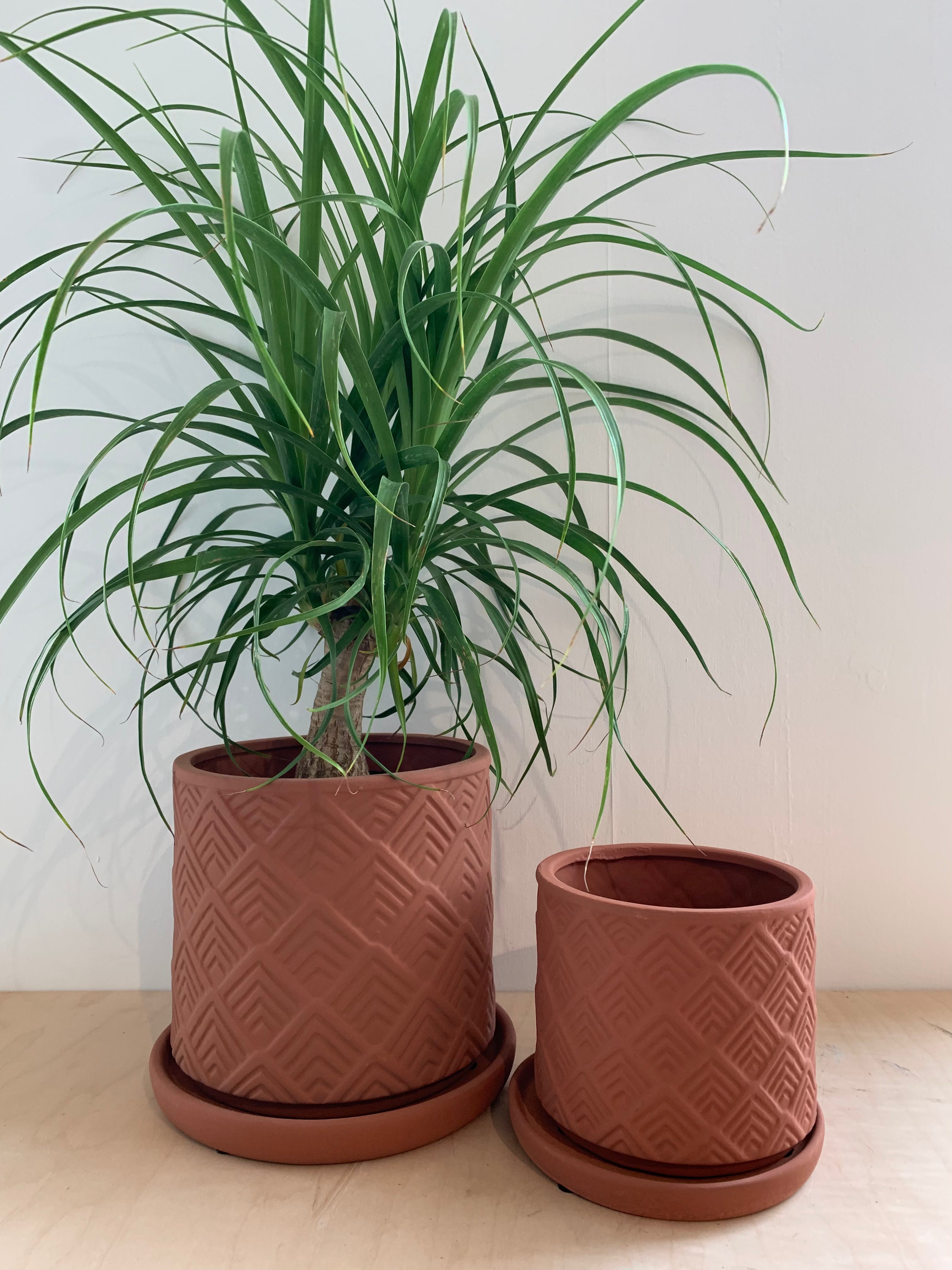Mittani Pot