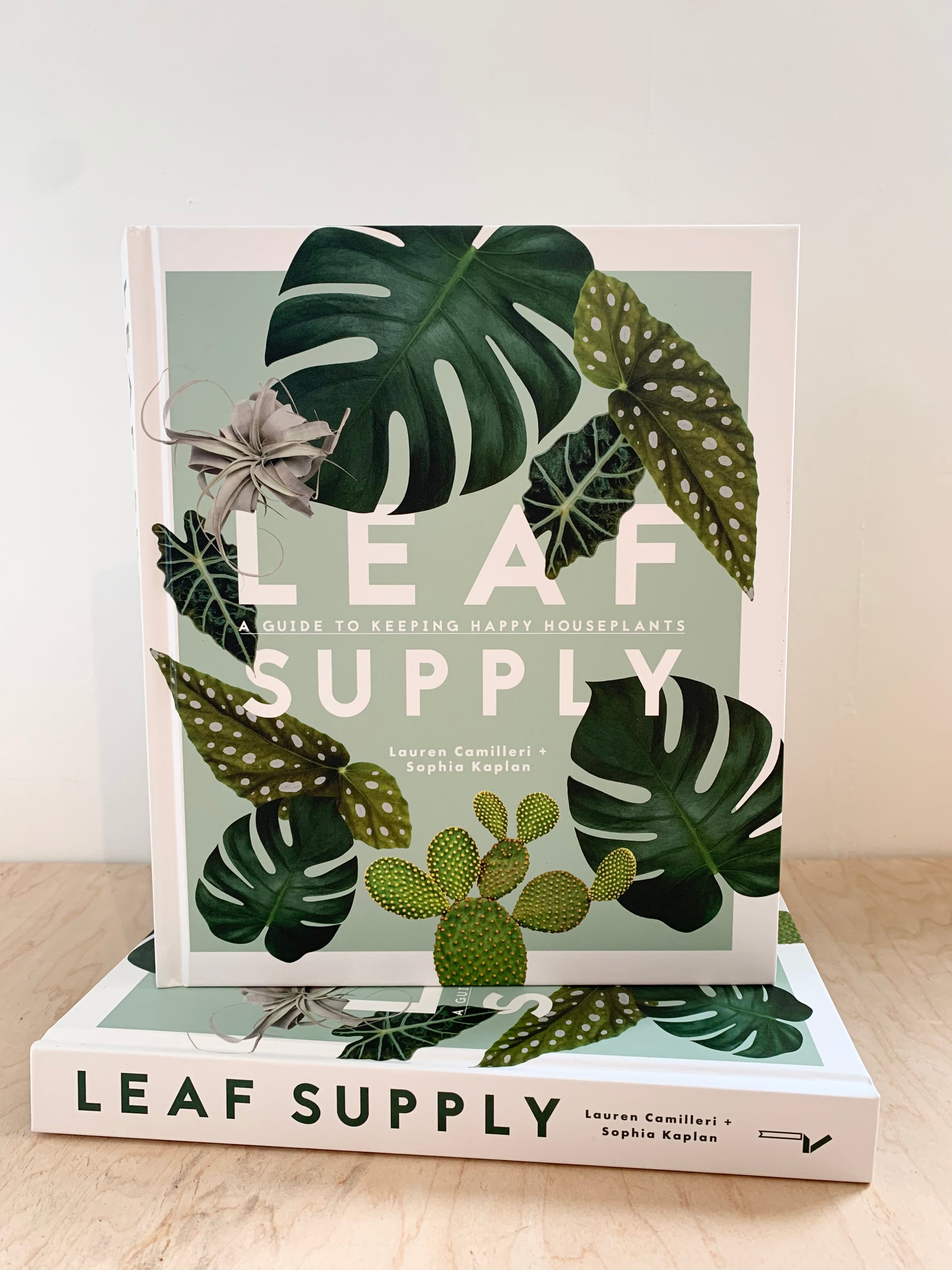 Leaf Supply: A Guide to Keeping Happy Houseplants
