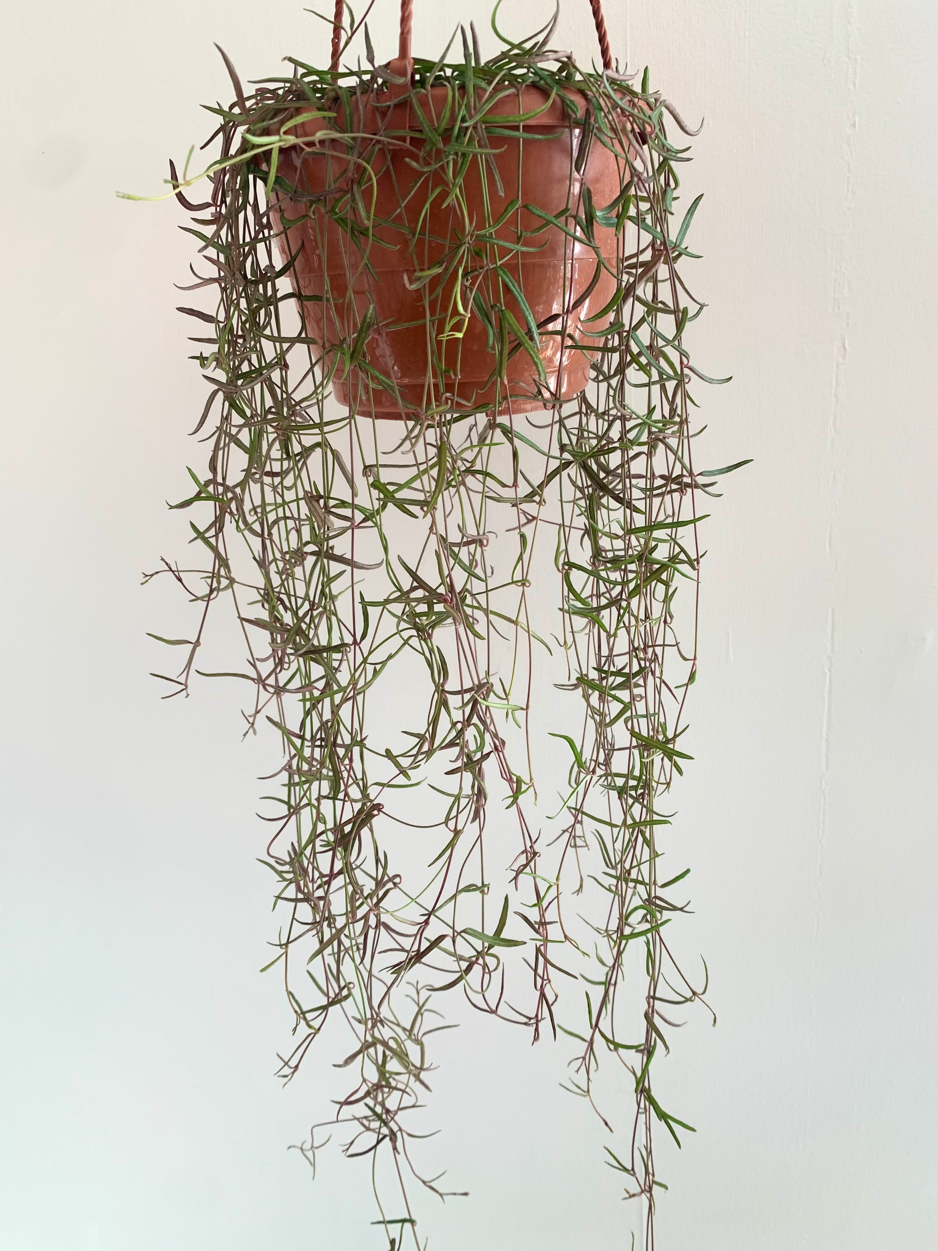 Cadena de agujas