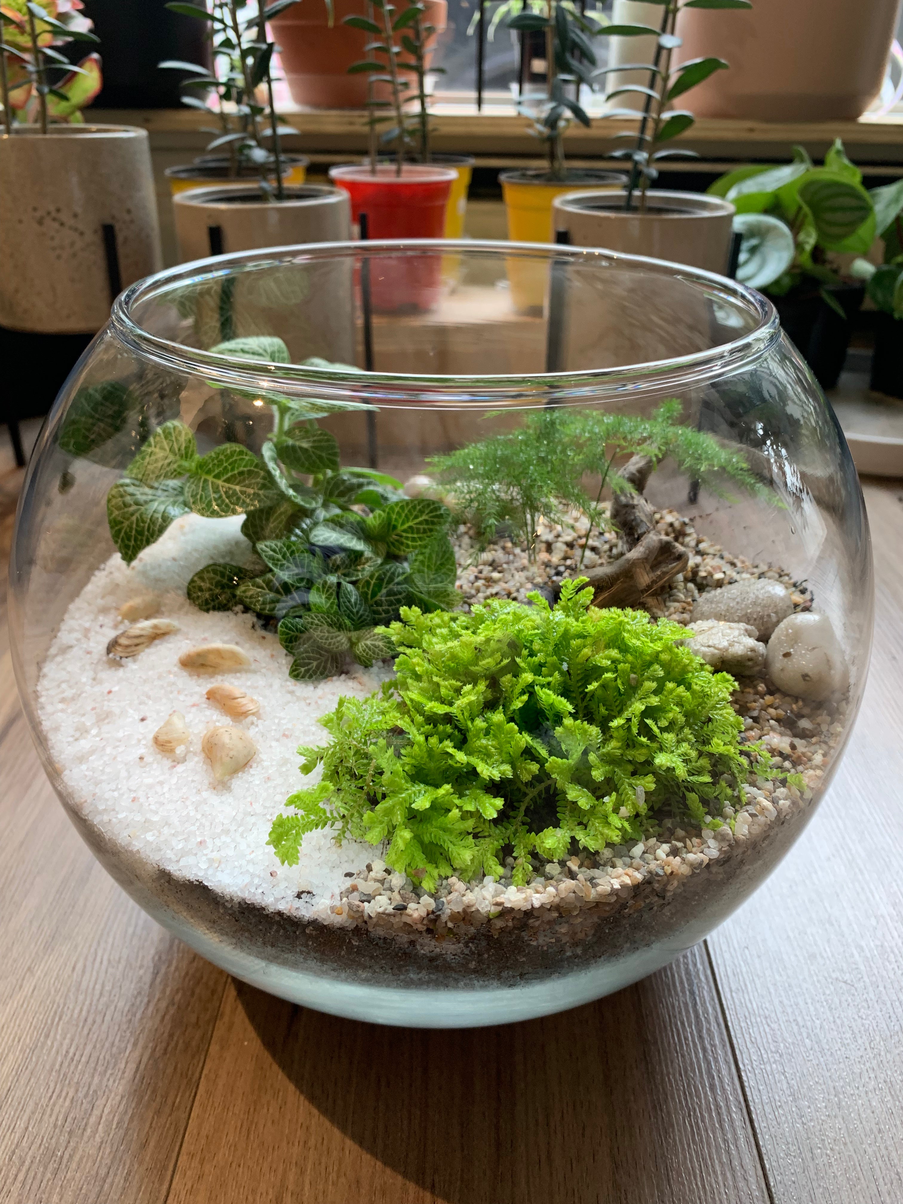 Plant Night Workshop