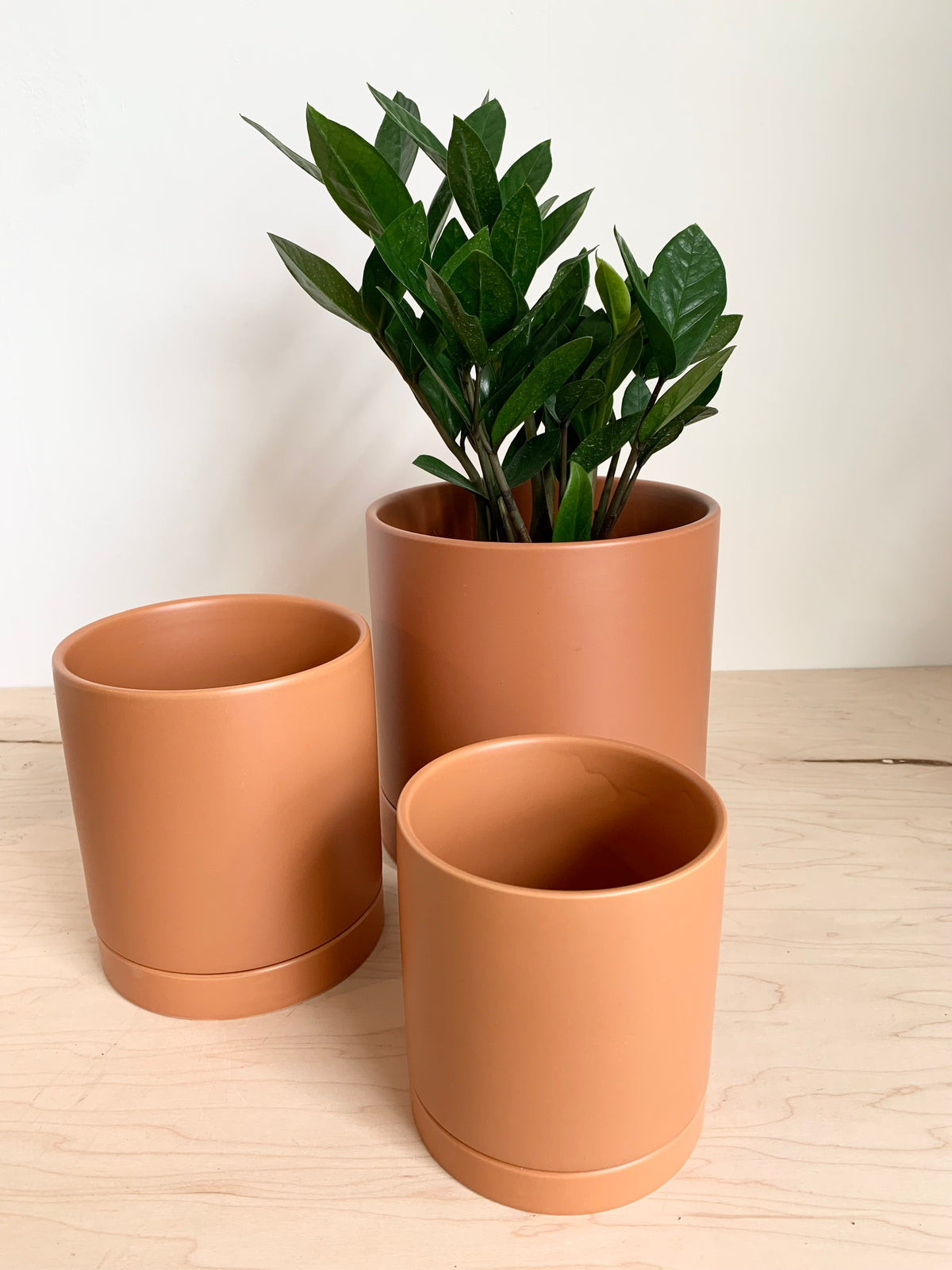 Romey Collection - Terracotta