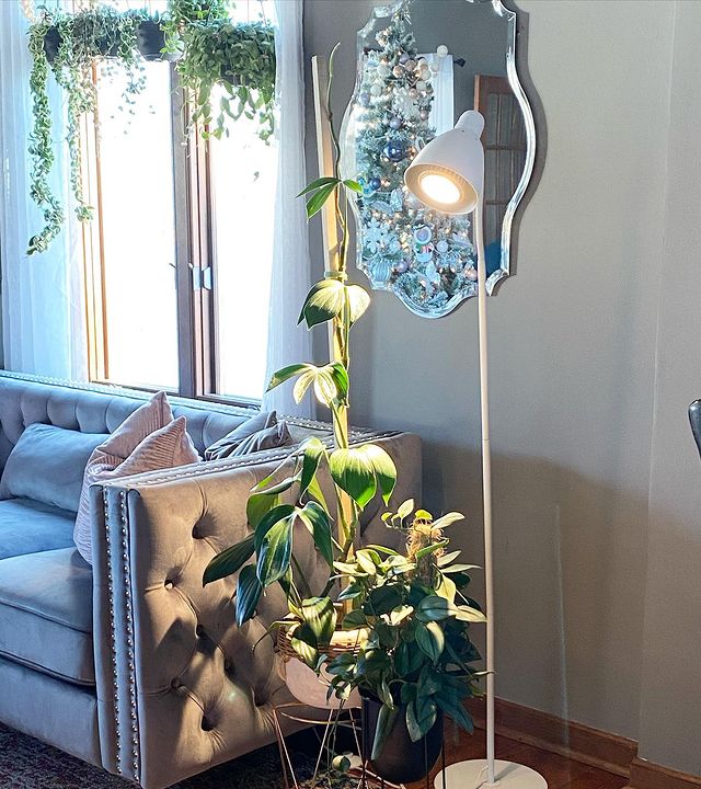 vita plant grow light Vita™ Grow Light – Foliage