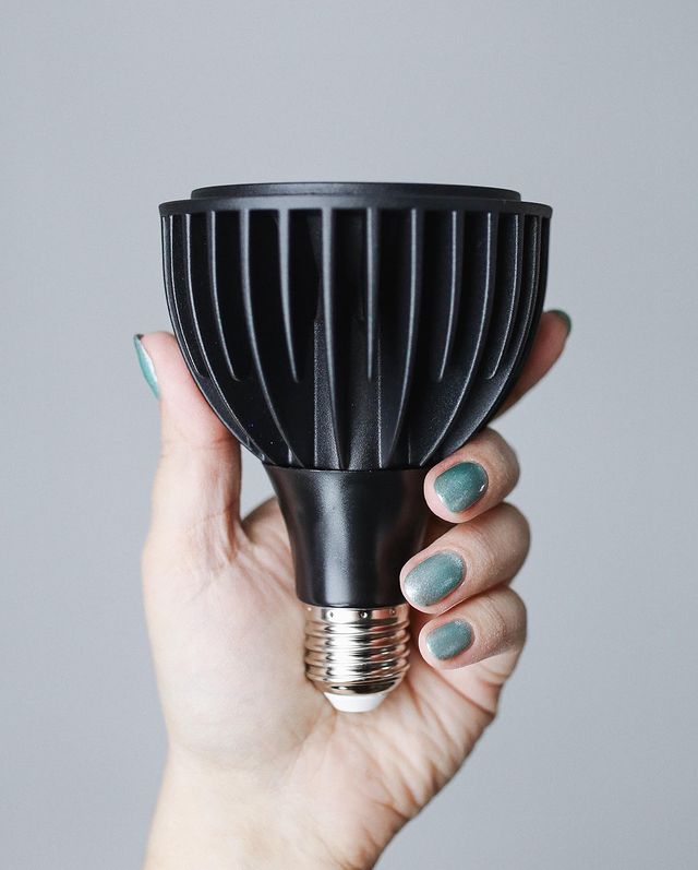 vita grow light bulb Vita™ Grow Light – Foliage